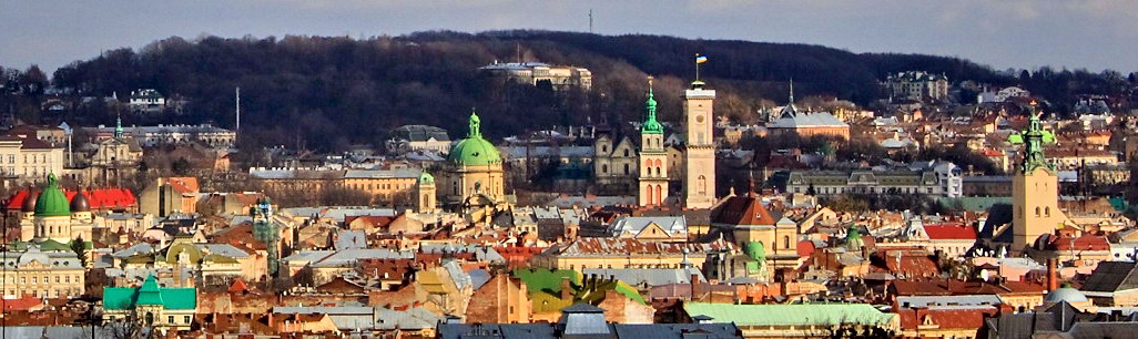 Panorama Lviv